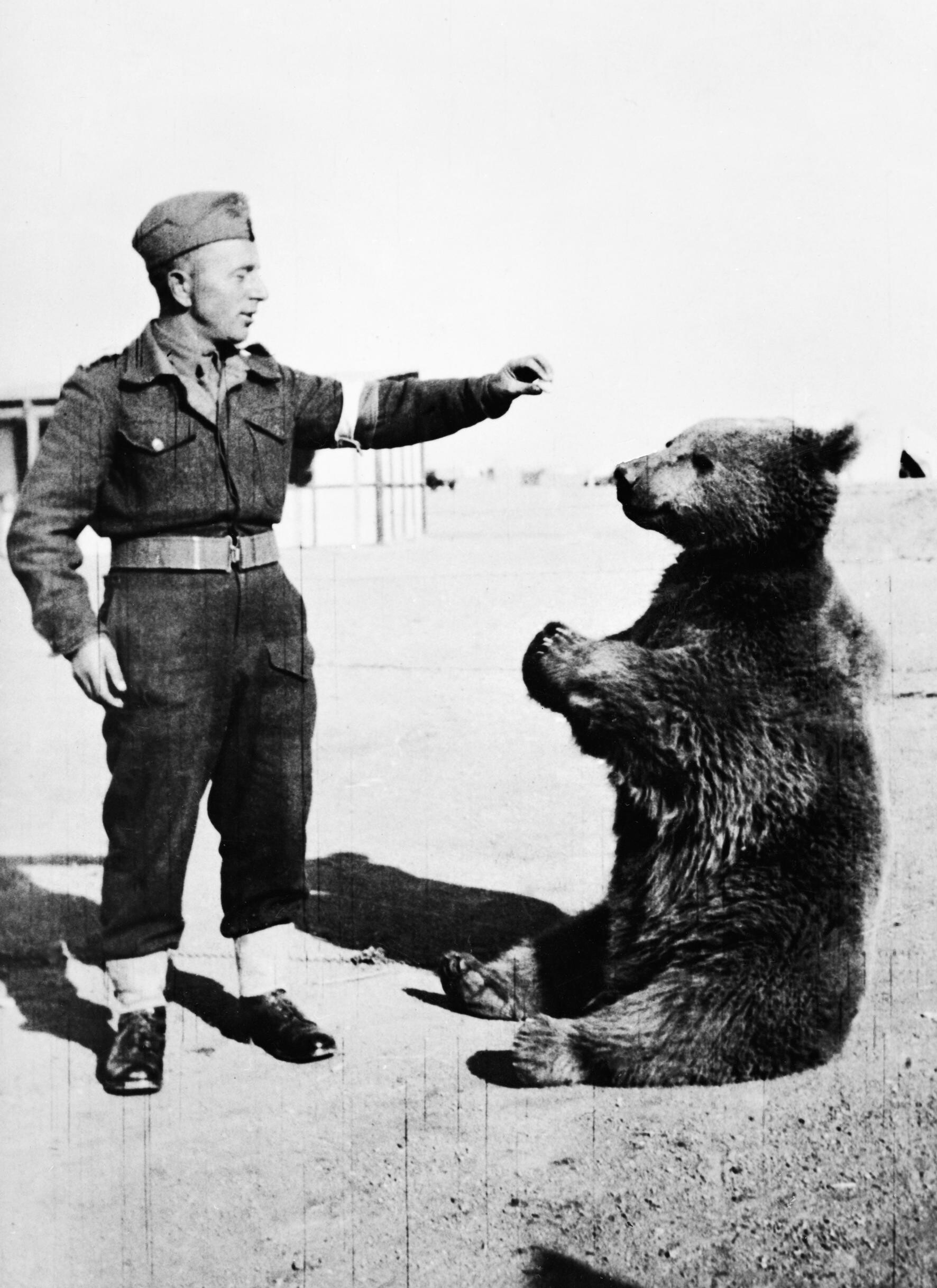 Wojtek_the_bear.jpg