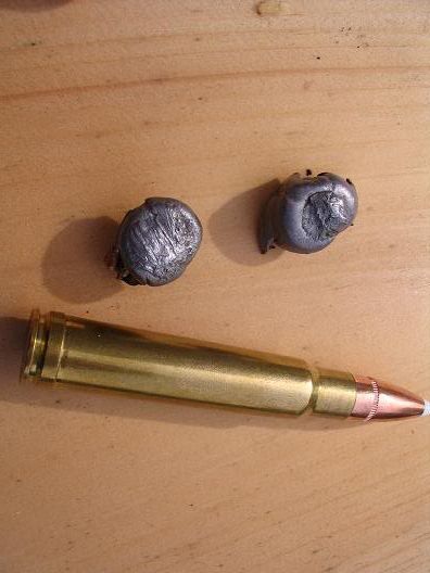 375Nosler08moose001.jpg