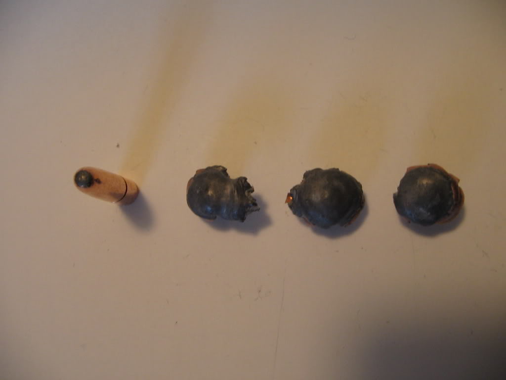 Hornady160RNSP.jpg