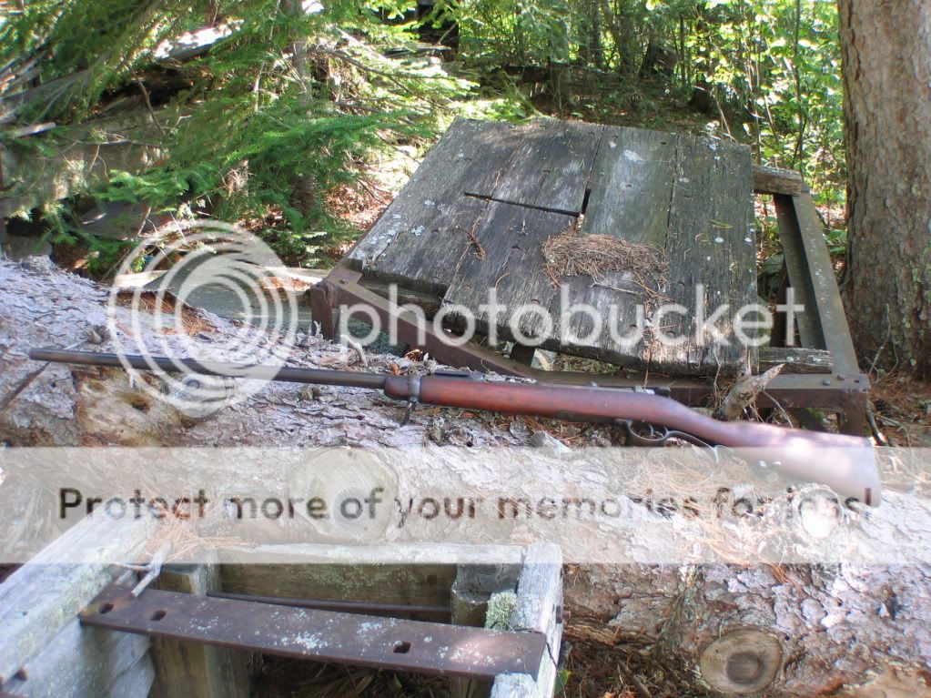 43Mauser01.jpg