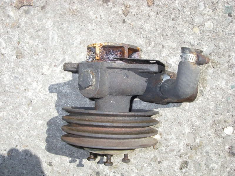 IMGP2055.jpg