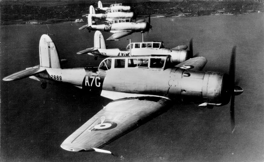 blackburn_skua_II_803sqn.jpg