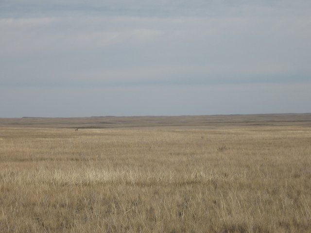 IMG-0060.jpg