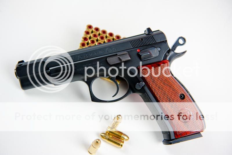 myguns16of46_zps06fa2184.jpg