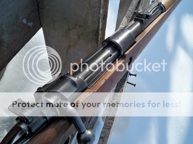 300dollarguns002.jpg