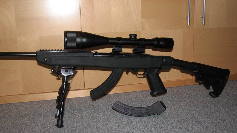 guns005.jpg