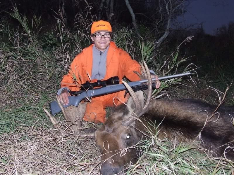 moose.jpg