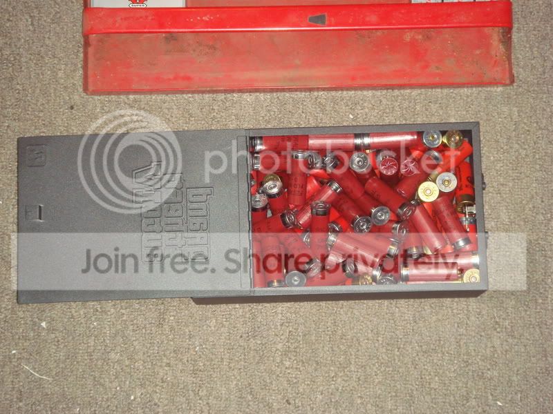 DSC01825.jpg