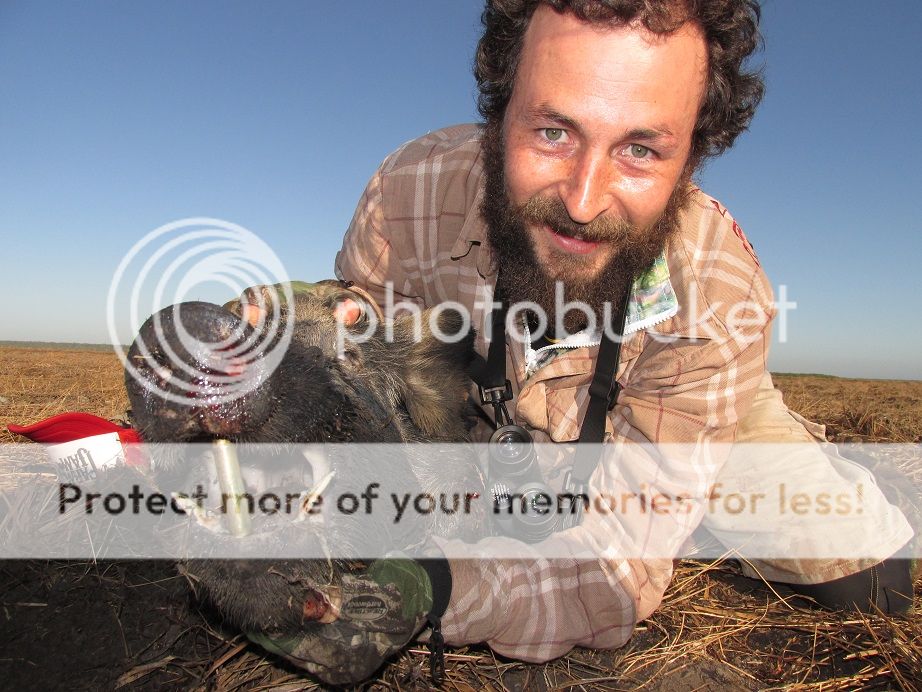 IMG_1338hilldogboar.jpg~original