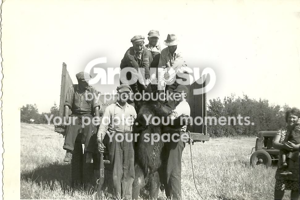 scan0001.jpg