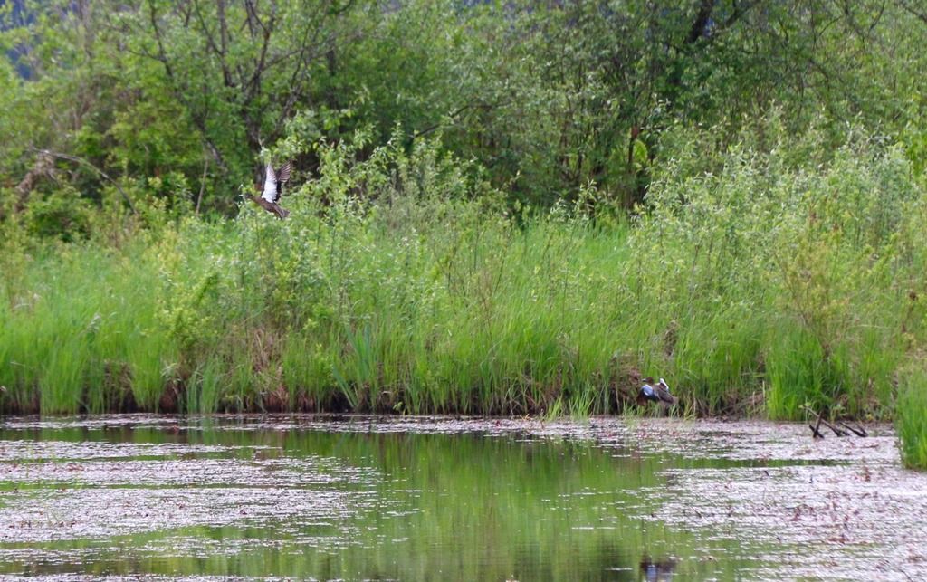 image_zpsxottj2jf.jpeg~original