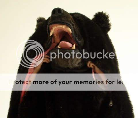 bear4.jpg