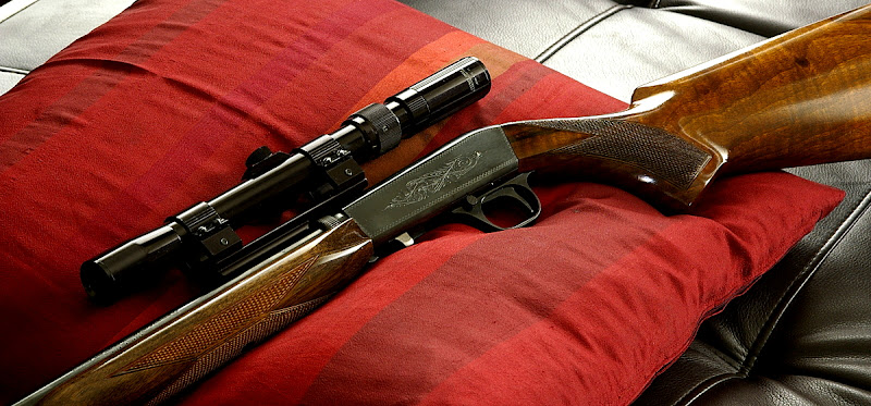 SA-22.jpg