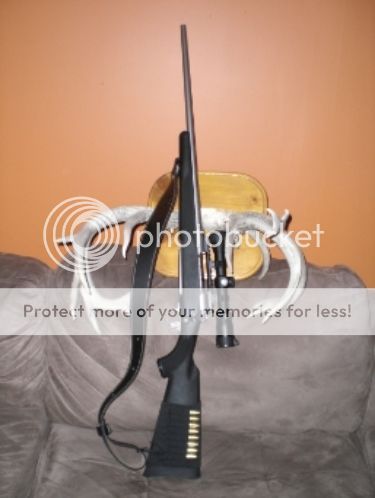 CIMG3222_zpsfd3dd648.jpg