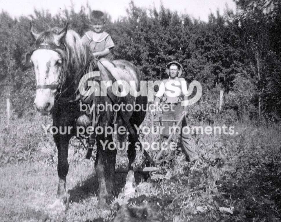 Plowing.jpg
