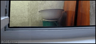91XJx.gif