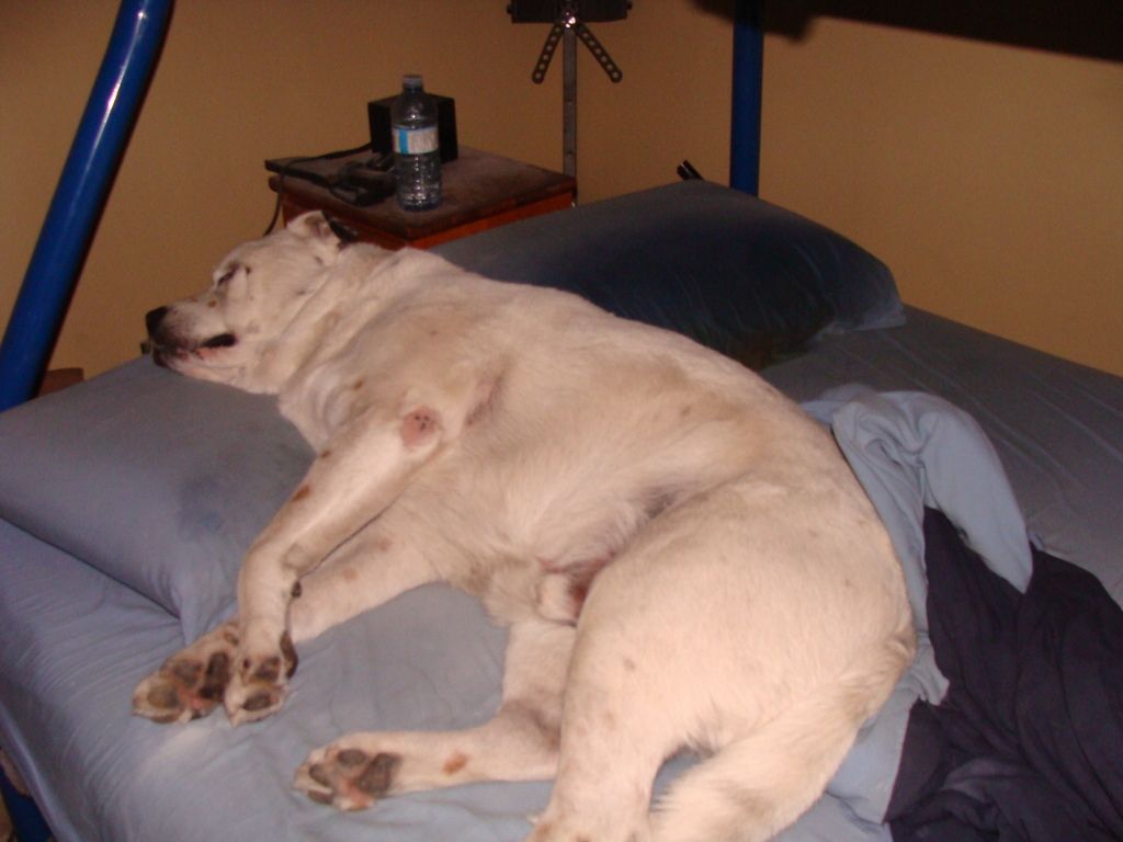 DSC02406_zpskwh5zljz.jpg