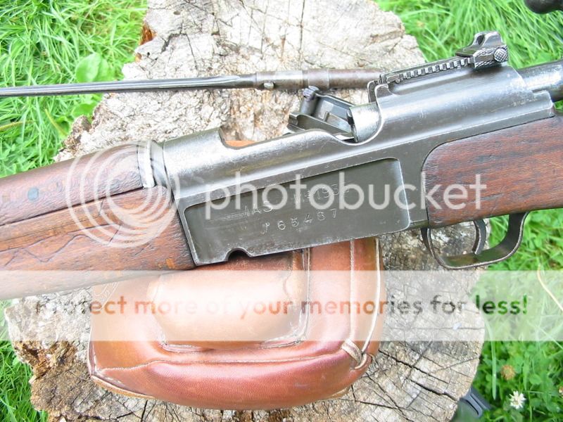 IMG_5569_zpsb1qcl2in.jpg