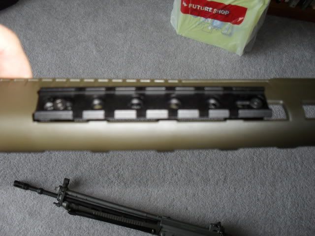 SDC10788.jpg