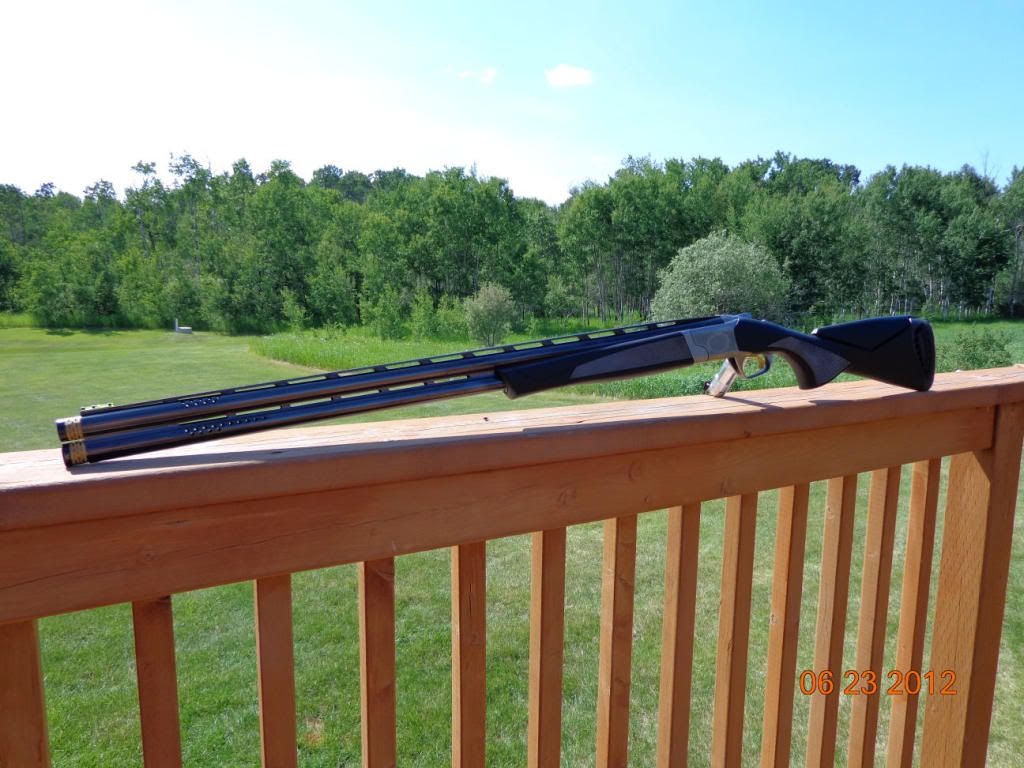 shotgun.jpg
