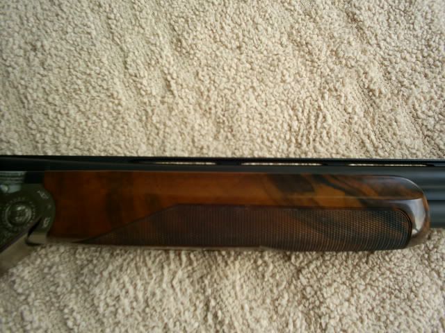 S4021867.jpg