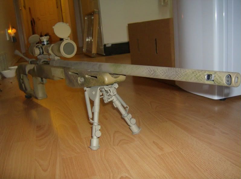 cat012-1.jpg