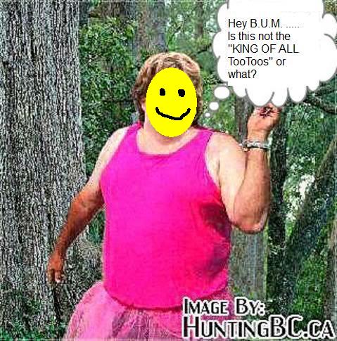 ZxmS7jy.jpg