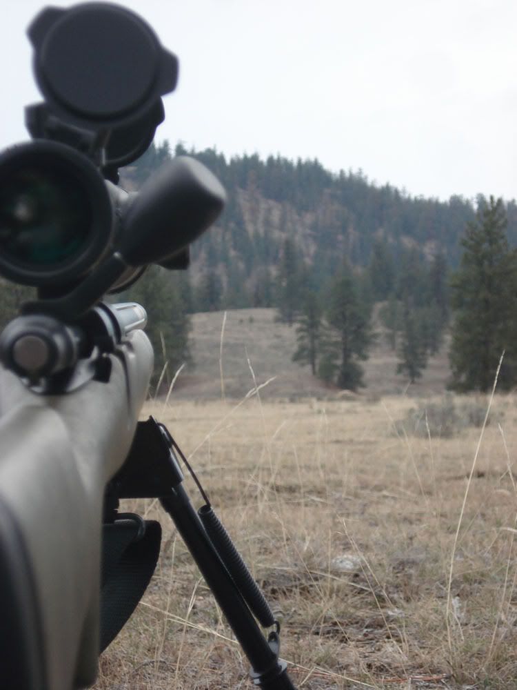 longrangeshooting5.jpg
