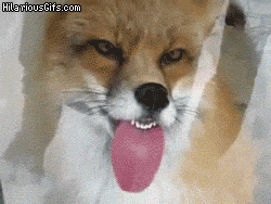 EghcKa8.gif