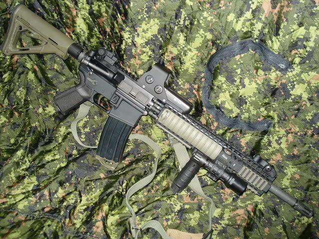 1Stag16042.jpg