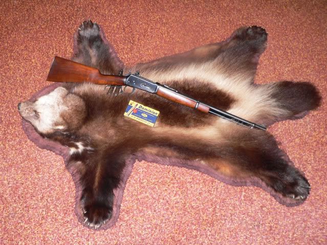 ww002.jpg