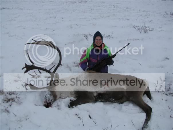 Firstcaribou.jpg