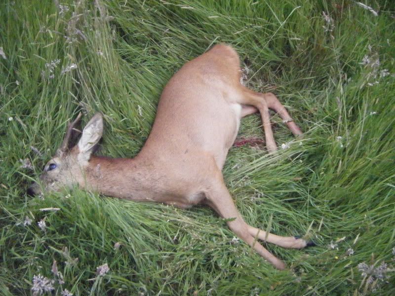DSCF5815.jpg