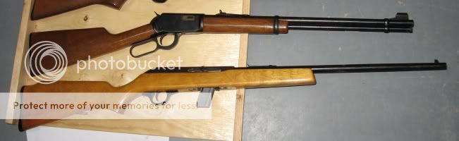 2rimfires.jpg