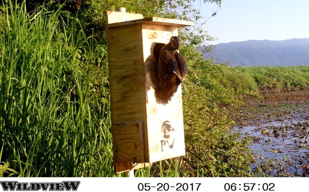 image_zpsk6783vz1.jpeg~original