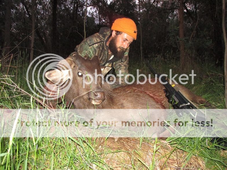 IMG_1891spike.jpg~original