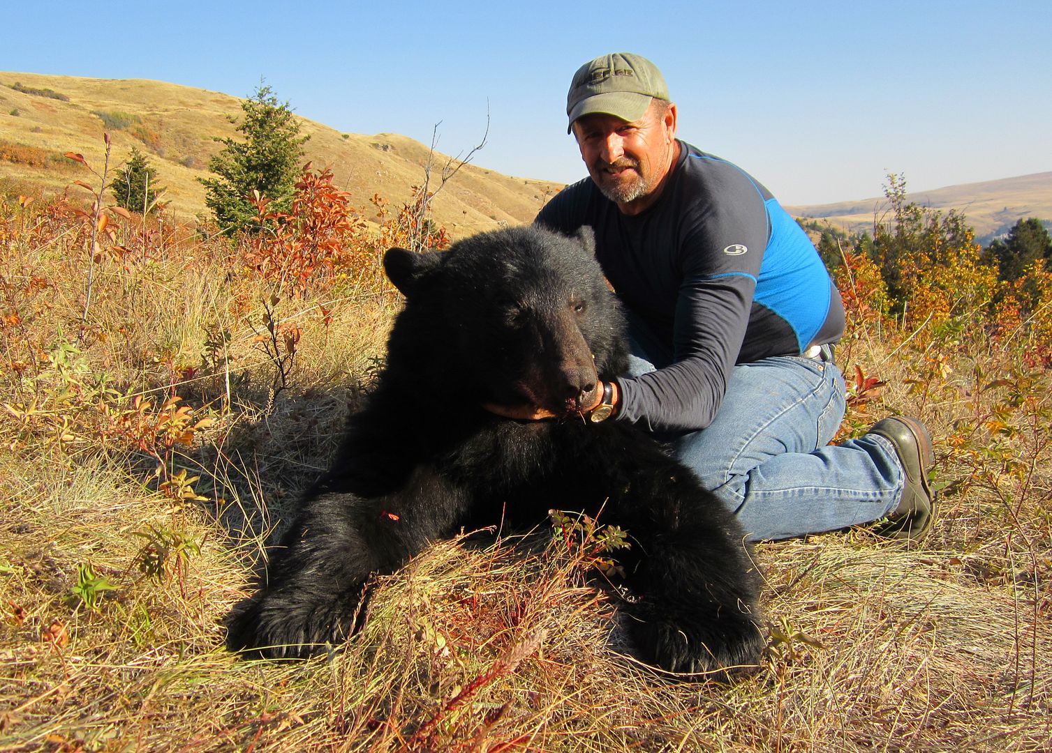 gfbear013_zps8deaf53b.jpg