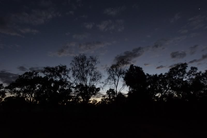 P1020219.jpg