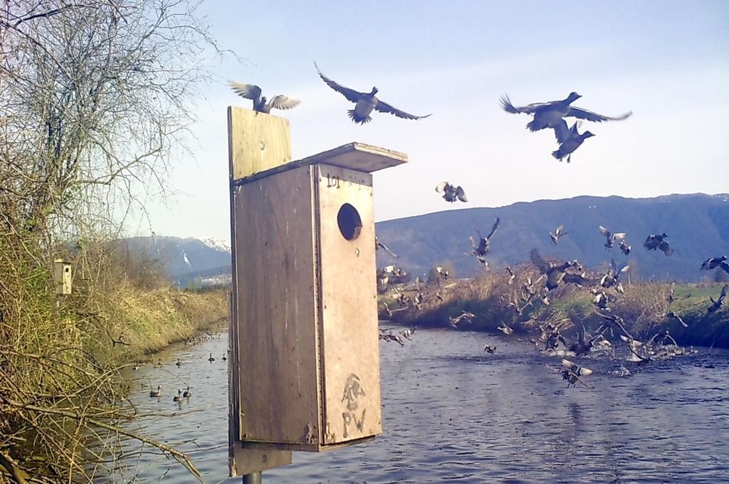 SUNP0183_zpsmkewnbkg.jpg~original