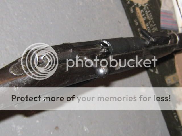Picture230.jpg