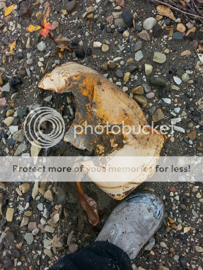 20151002_110729_zps9ewvk6fn.jpg~original