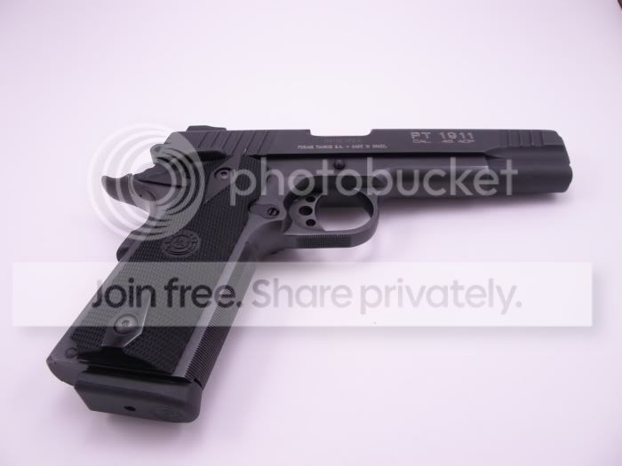 Taurus1-1.jpg