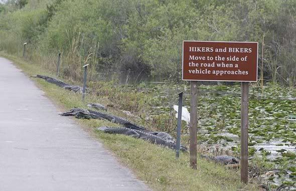 move-to-side-of-road.jpg