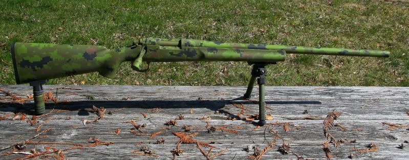 rifleandswallow012.jpg