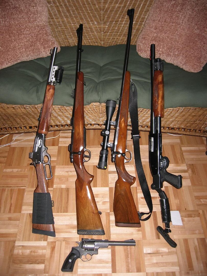 bearguns0001_r1_1.jpg