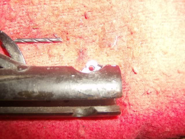Picture009-1.jpg