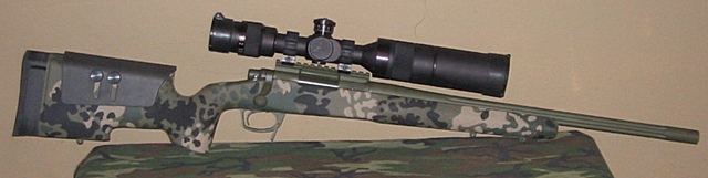flectarna5_2.jpg