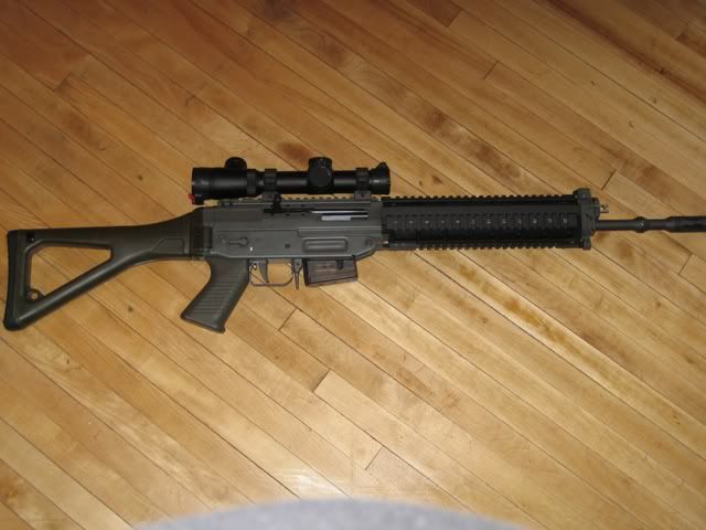 Sig551001.jpg