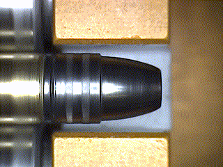 10191-sk-flatnose-move-gif