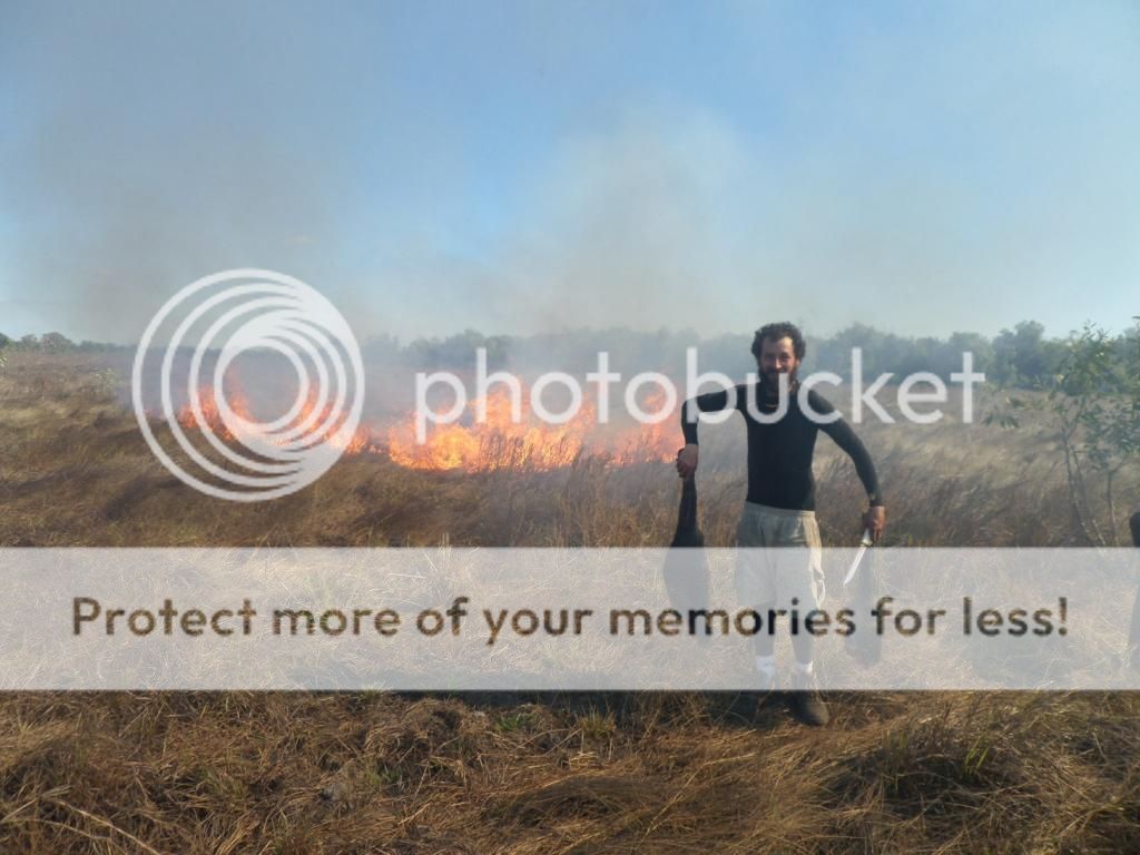 IMG_2863pigfire.jpg~original